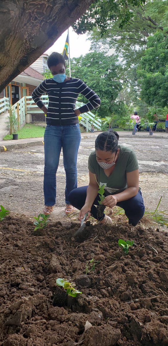 ForestryDeptJa's tweet photo. Our staff playing their part in planting trees and flowers for a healthier and aesthetically pleasing environment and healthier people.
...
#ForestryDeptJa #NTPD2020 #trees4health #plantatree #treesmatter https://t.co/obMmLUZDdd
