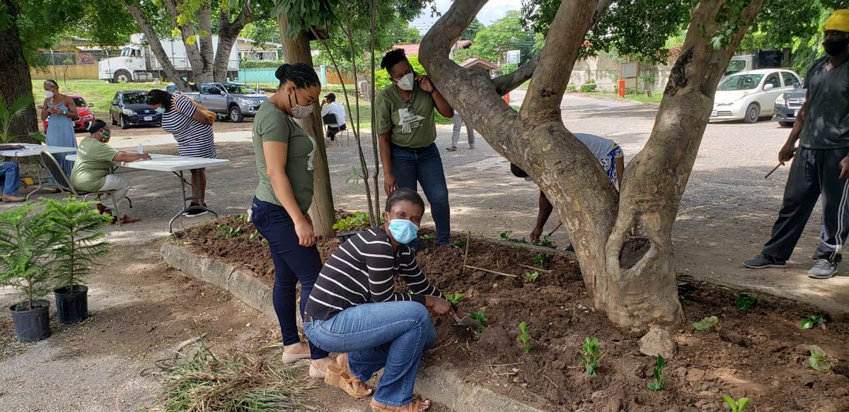 ForestryDeptJa's tweet photo. Our staff playing their part in planting trees and flowers for a healthier and aesthetically pleasing environment and healthier people.
...
#ForestryDeptJa #NTPD2020 #trees4health #plantatree #treesmatter https://t.co/obMmLUZDdd