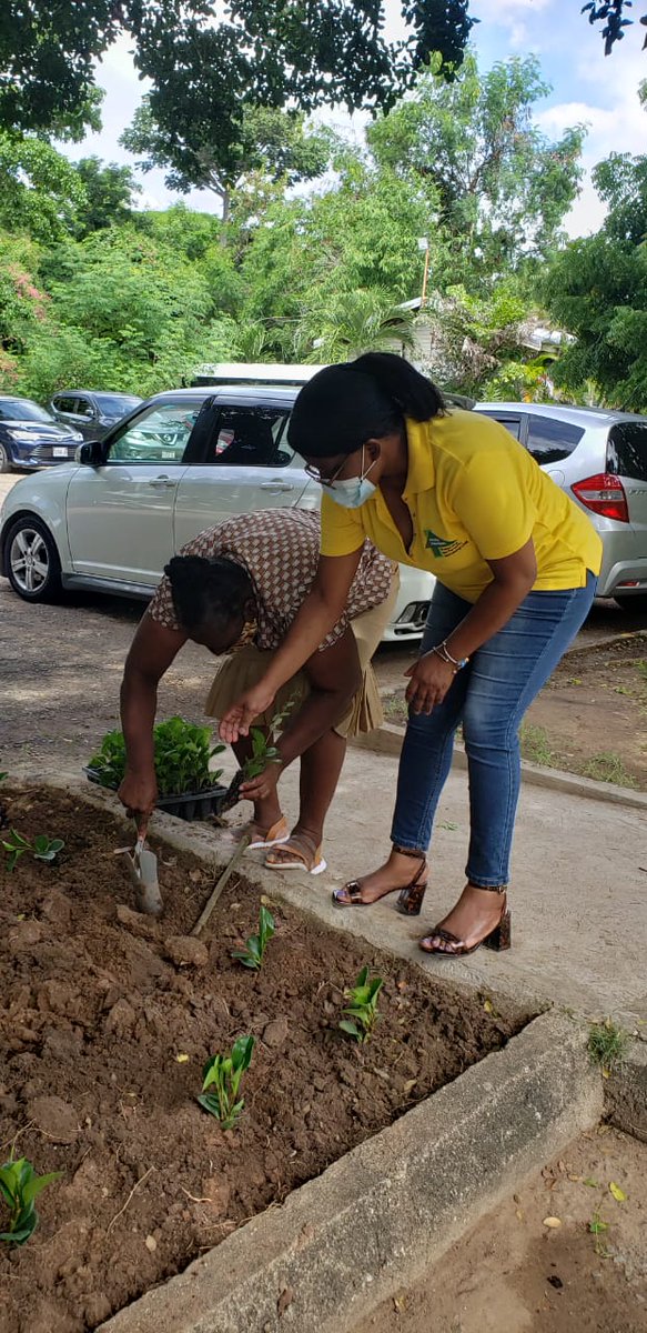 ForestryDeptJa's tweet photo. Our staff playing their part in planting trees and flowers for a healthier and aesthetically pleasing environment and healthier people.
...
#ForestryDeptJa #NTPD2020 #trees4health #plantatree #treesmatter https://t.co/obMmLUZDdd