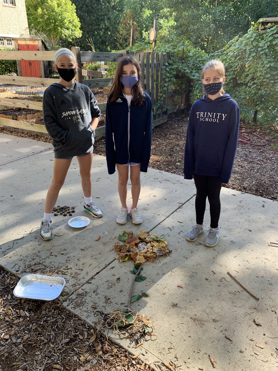 Natural Art with <a href="/auntpatville/">Pat Kerner</a> #trinitylearns #trinityoe