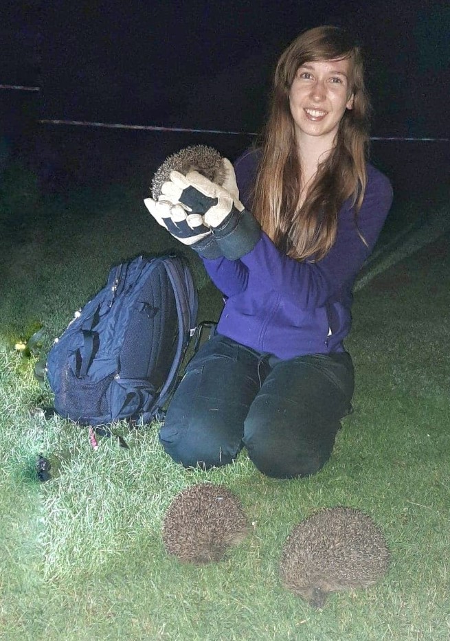 This time last year I started my PhD at <a href="/TrentUni/">Nottingham Trent University</a>. I still have to pinch myself that I'm working on a project that I absolutely love, surrounded by amazing people (and animals). Thanks for having me <a href="/NTU_ARES/">Brackenhurst ARES</a> and for the ongoing support <a href="/PTES/">People's Trust for Endangered Species</a>, bring on the next few years! 🦔