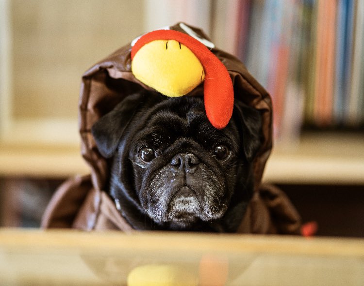 Faces Magazine tweet media