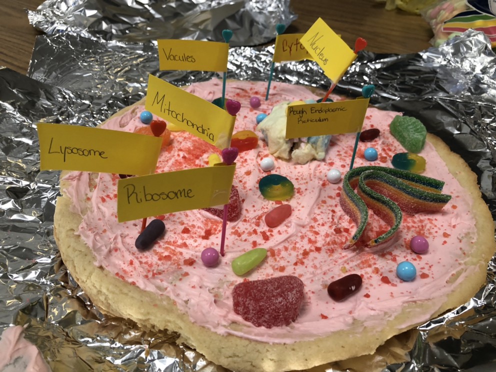 Uživatel MonroeCoAchieveCtr na Twitteru: „Ms. Harmon's and Mr. Nickel's students made an Animal Cell Cookie Cake. #HandsOnLearning /9vrkITVwGJ“ / Twitter Uživatel MonroeCoAchieveCtr na Twitteru: „Ms. Harmon's and Mr. Nickel's students made an Animal Cell Cookie Cake. #HandsOnLearning /9vrkITVwGJ“ / Twitter