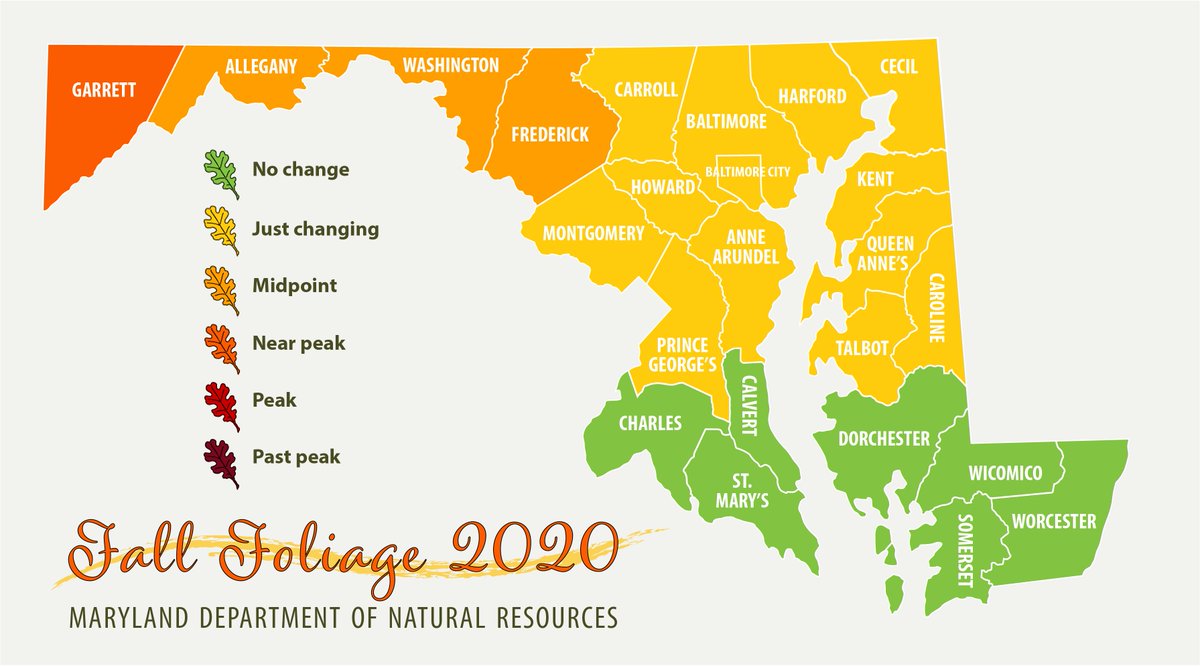 🍁🍂 FALL FOLIAGE REPORT: This season’s foliage is showing signs of a vibrant #autumn. Maples, hickories, birches &amp; red oaks are displaying bright colors. Plan a scenic drive through Western MD. Read the report on our website for our route recommendations! ow.ly/K8LP30rd0kH