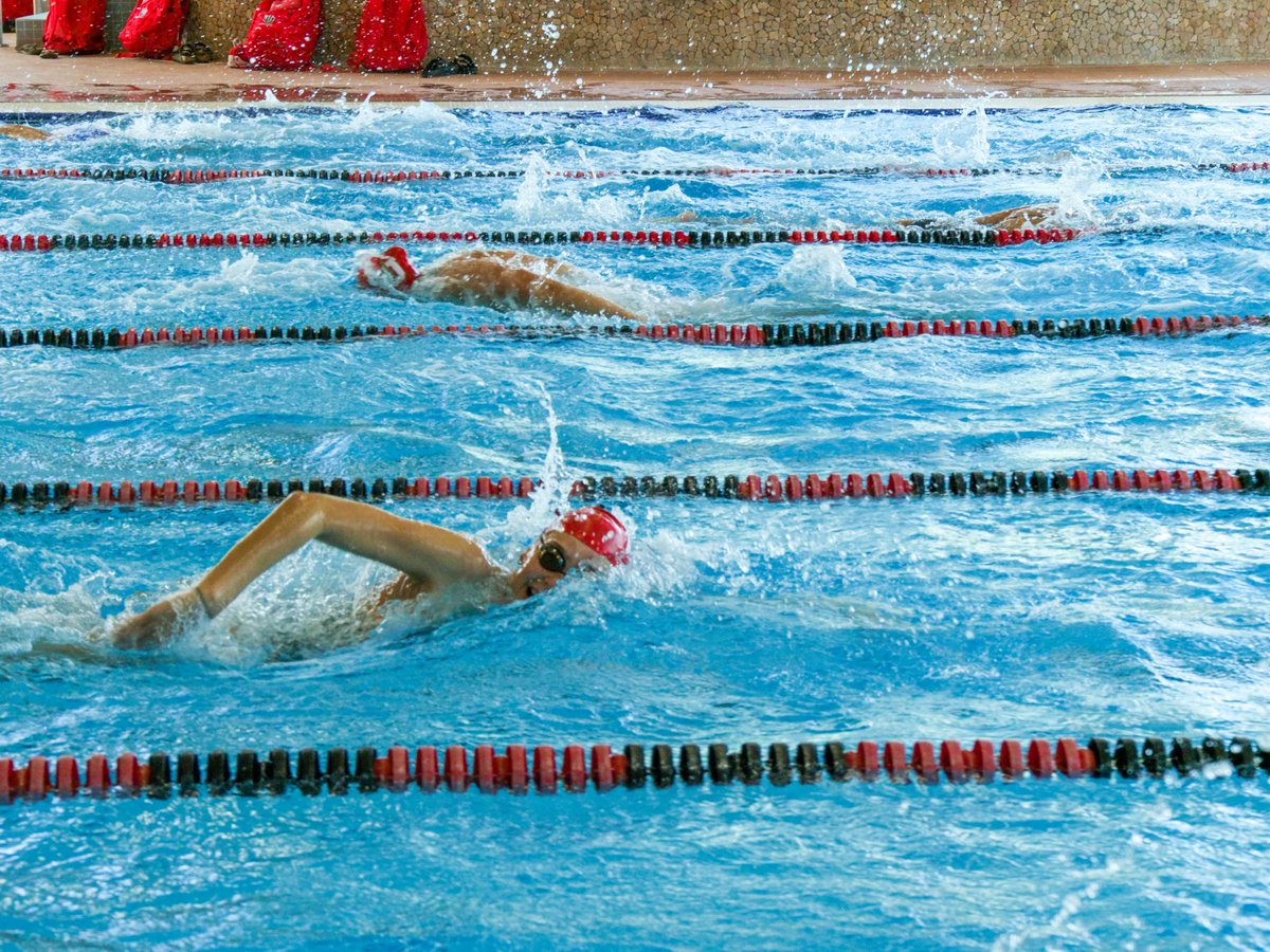 UTAHswimdive's tweet photo. Always a great day to get better! 🙌🙌 Happy Friday everyone! https://t.co/ZQ93QXpY0m