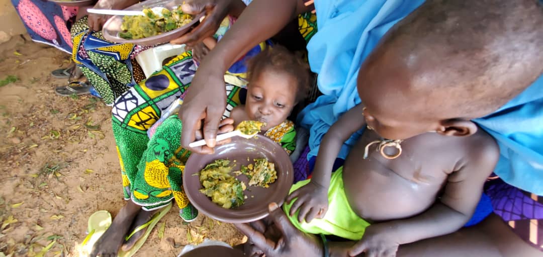 Kebbi State Primary Health Care Development Agency tweet media