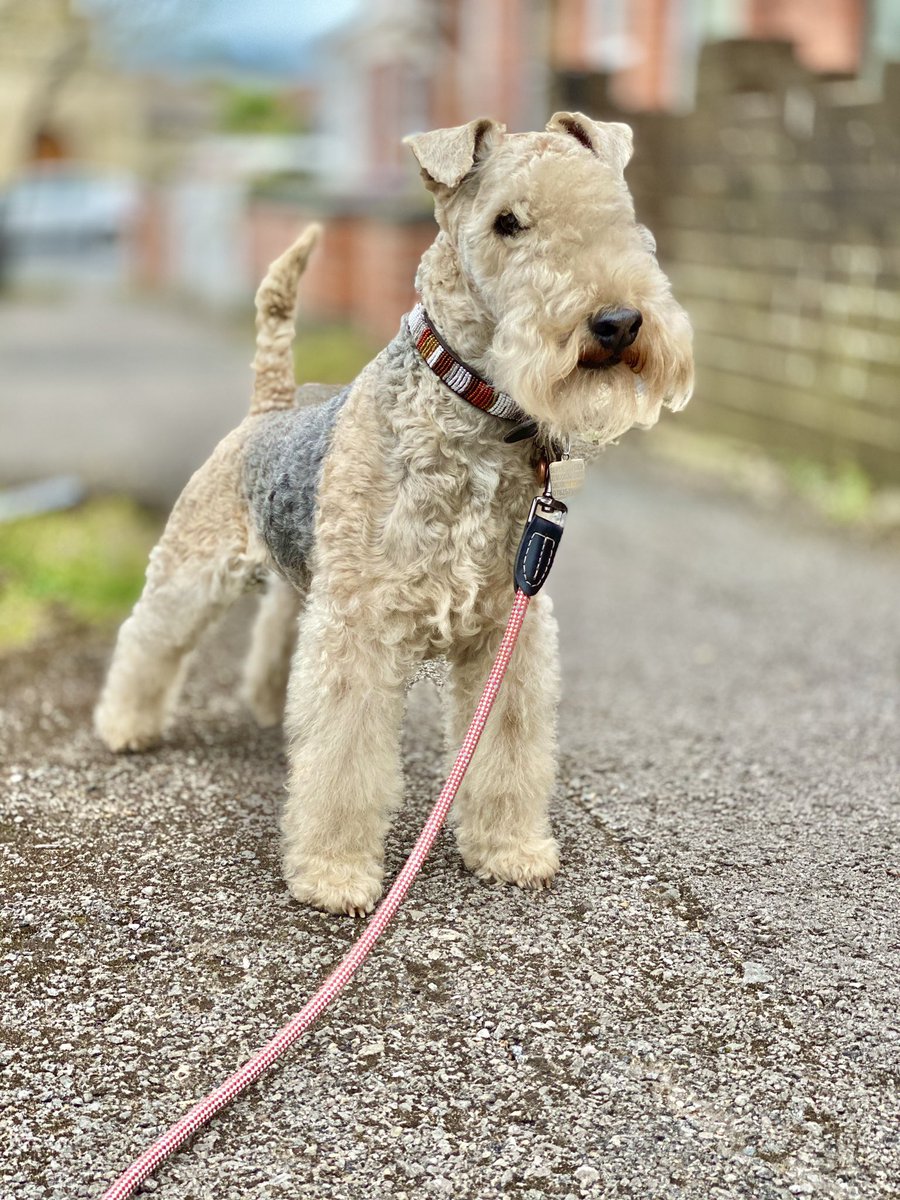 So this is my favourite photo of me from September I want you to reply with your favourite photo of you ...... if you haven’t got one take one don’t be shy I want to see what you all look like 💖💖