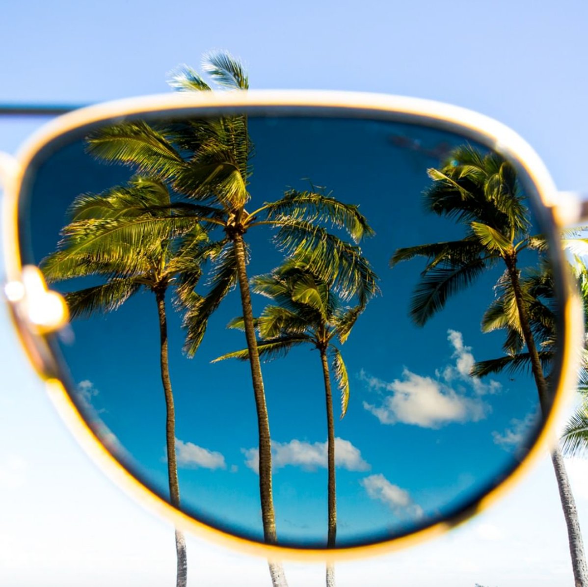 OptometrySD's tweet image. See the world like never before.  #officialmauijim #sandiegostyle

🕶:  Maui Jim Sunglasses