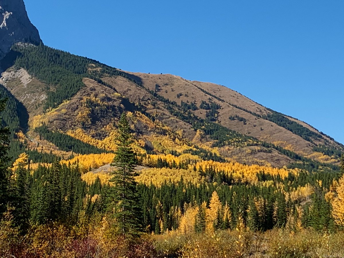 Washed_Up's tweet photo. @StanWil44579968 @CTVdavidspence @iamwendddy Can’t beat #Kananaskis today! Calm, clear and colorful 20c #MTKidd #abstorm #ShareYourWeather https://t.co/9yOfGsRVpX