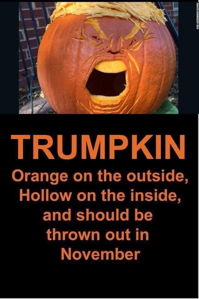 tavofalco's tweet photo. Y'all? https://t.co/aDmAlGK2qE