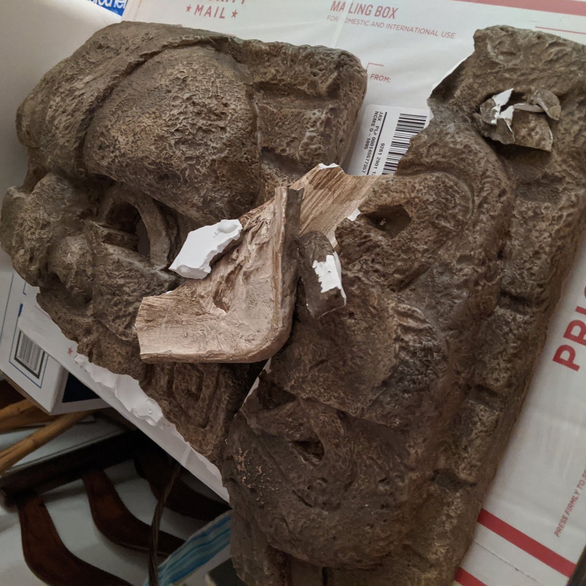 Brandon Kleyla tweet media