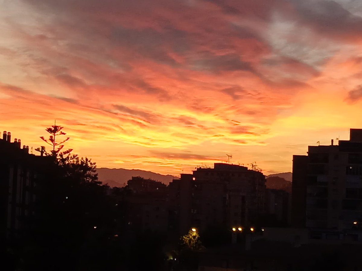 Ana Rebollo Jurado (@58a58a) on Twitter photo 