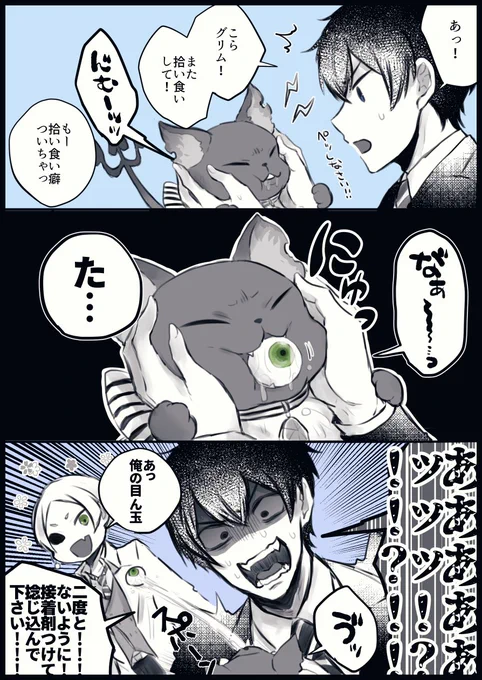 ニクスの義眼にまつわるエトセトラ 