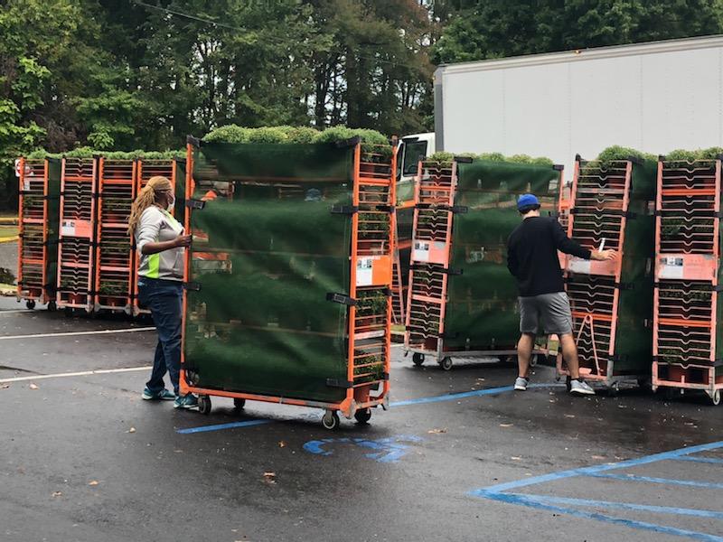 Jesspalooo's tweet photo. Mums are ready for pick up! We are EXHAUSTED! But the plants are beautiful! 🏵 @SomerdalePark https://t.co/1pFB1GdU3J