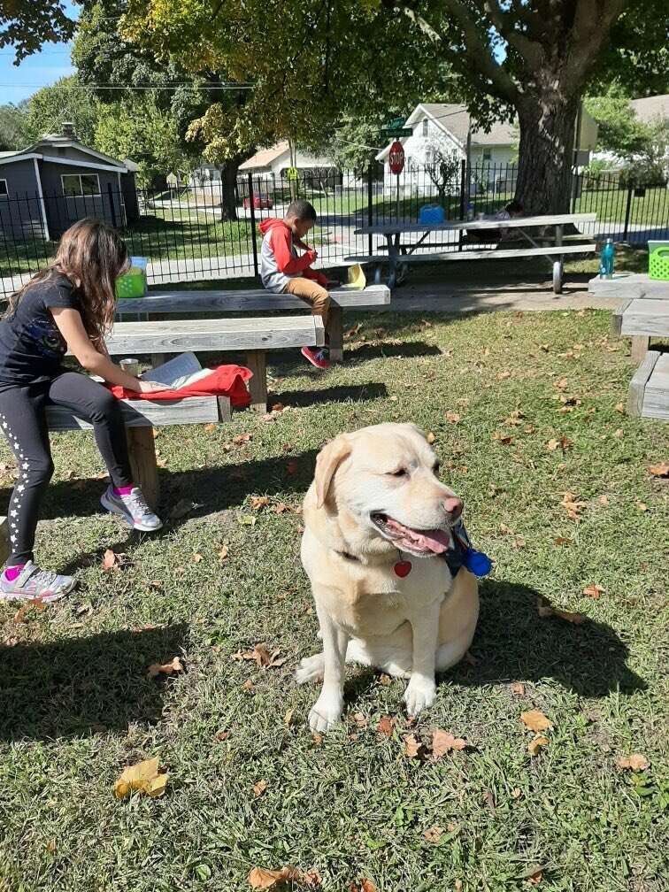 Milli is loving the fall weather and her second grade readers <a href="/ProcterLions/">Procter Elementary</a> <a href="/Amy_M_Hawley/">Amy Hawley</a> #isdstrong