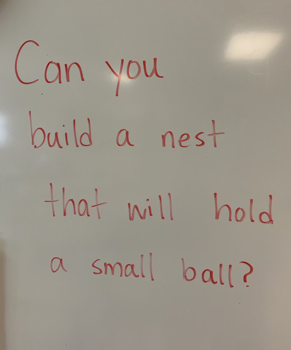 YoungMrs2019's tweet photo. The S’s had so much fun with this one! Thanks to @pinch_c for sharing the abandoned birds nest she found with us so we could examine it first! #outdoorlearning #structurechallenge #getoutside @GlooscapS @AVRCE_NS https://t.co/1aZYew0hfS