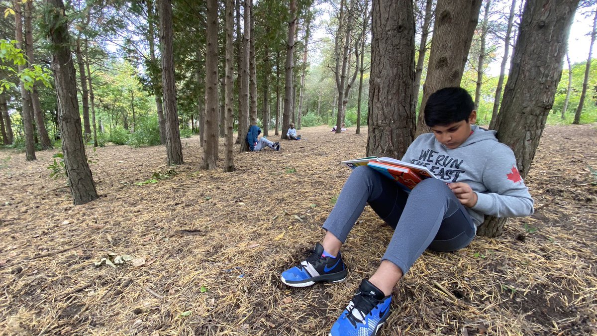Winegard45's tweet photo. Find our #magicspot today for D.E.A.R time in our forest at William C. Winegard P.S. #dropeverythingandread #getoutside #GetOutdoors #education #grade4 #grade5 https://t.co/hRmCi4zEe2