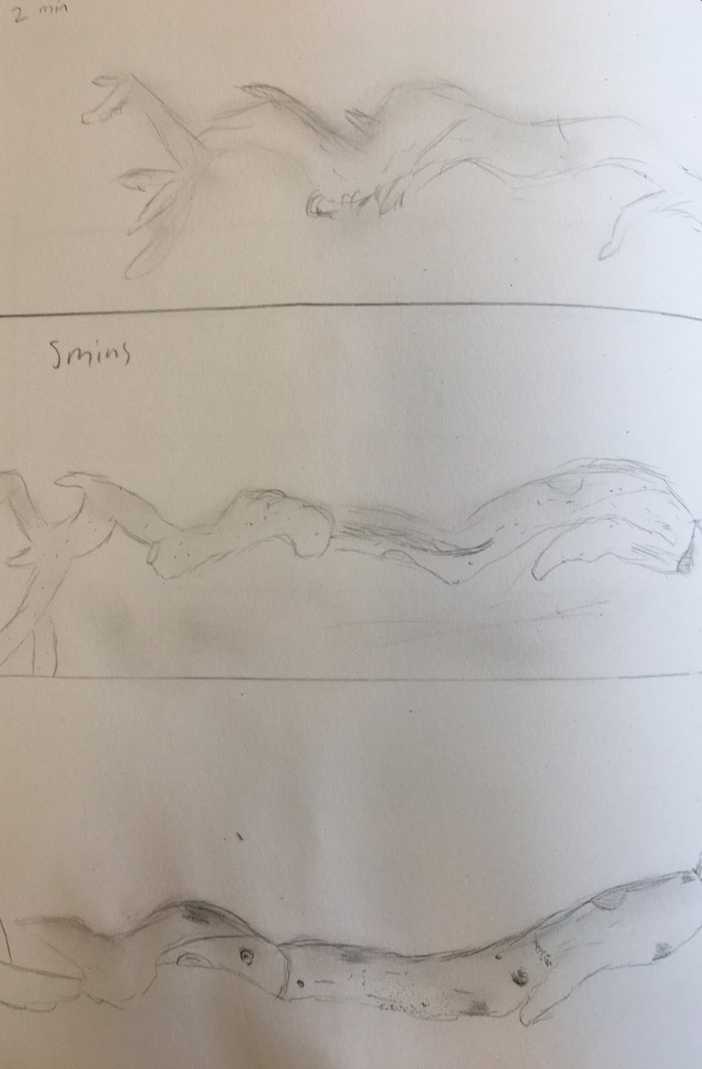 BenetSchool's tweet photo. Beautiful sketches by Y6. Inspired by nature walk finds. #StBenets #nature #Autumn #autumncolours https://t.co/BhWLfUx1QE