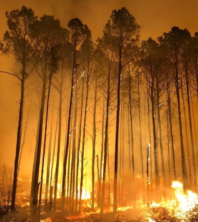 humblenesskarol's tweet photo. DIFUNDAN | Córdoba, Argentina 🇦🇷 

Las Sierras siguen en llamas después de diez días. Pocos medios de comunicación hablan de esto, no le toman tanta importancia como el incendio del Amazonas, pero está acabando con la vida de muchos cordobeses. (abro hilo) #CordobaEnLlamas https://t.co/aHSAFVUySg