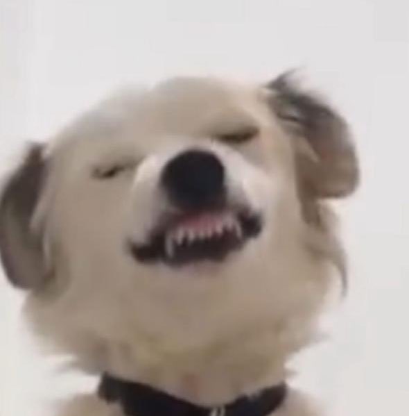 When there’s outage, but is your day off #TGIF