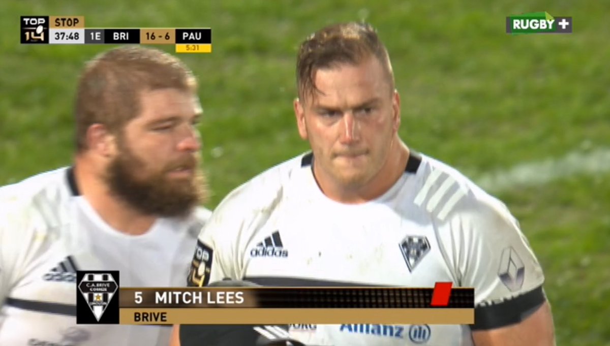 📌 Allez Brive ⬇️ tweet media