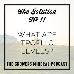 New episode of The Growers Mineral Podcast: The Solution is live! Watch on YouTube or Listen as a Podcast.

The Team Discusses Trophic Levels.

buff.ly/3cO0Zy9
buff.ly/2SfzOTG

#Farming #ag #GrowersMineral #GrowersMineralSolutions