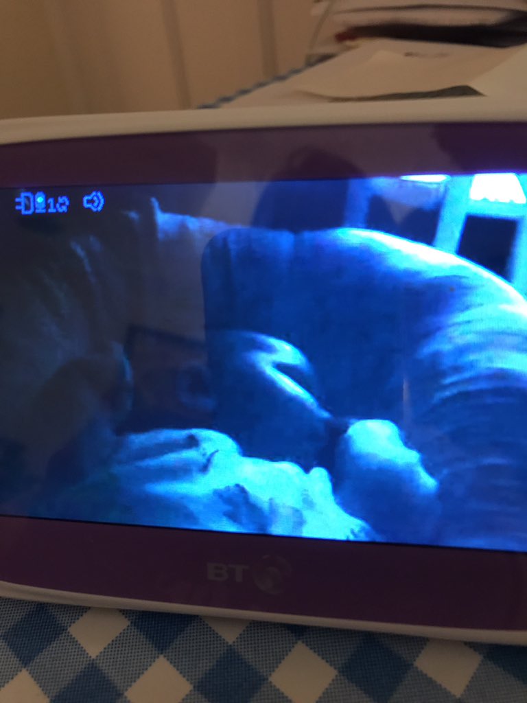 Kate Salmon tweet media