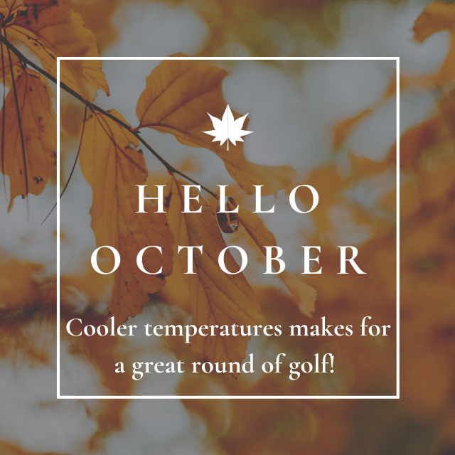 RiverchaseGolf's tweet photo. October is here and that means fall golf! Book your next round online. https://t.co/RA8yUjGpll https://t.co/AEGQkQpCbg