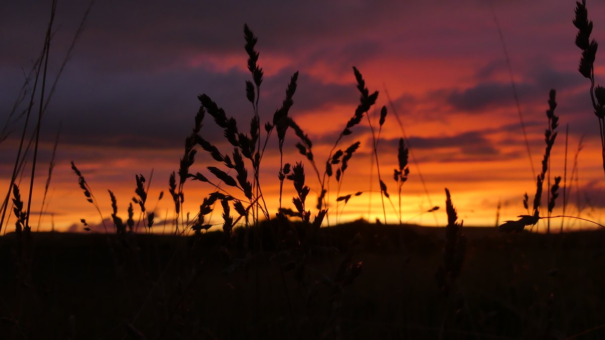 RomanyHerefords's tweet photo. Sunrise to sunset, probably two best bits of the day. Shame #StormAlex might come and ruin it!
#farming #fluffymoos #sunrise #sunset #agritourism #scotlandstartshere #nofilterneeded https://t.co/43pkNnVudl