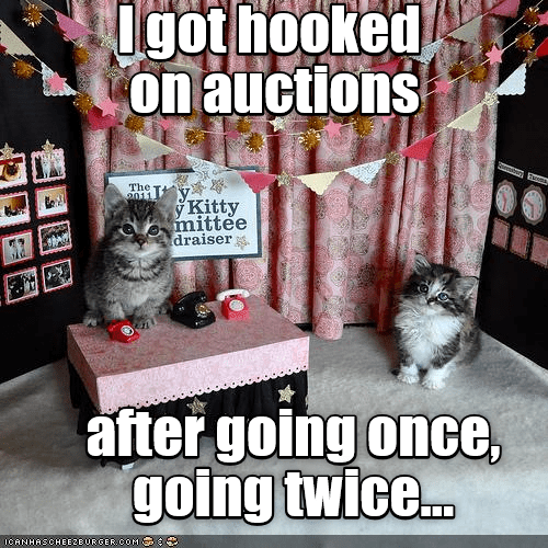 GatewayAuction's tweet photo. TGIF! Who's ready for the weekend? Be sure you've marked your calendars for our October auctions! https://t.co/igcotRXmGQ

#tgif #friyay #fridayfeeling #auctions #auctionhumor #auctioneers #catsdoingthings #upcomingauctions https://t.co/fX8tKUx6yA