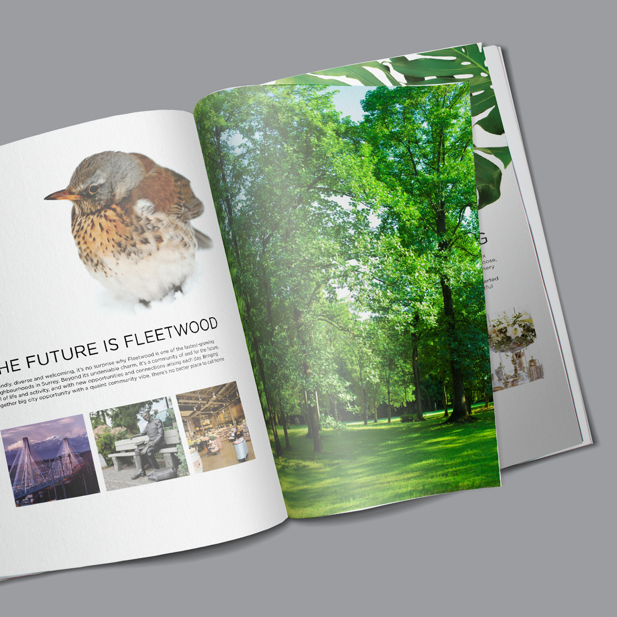 IrixDesign's tweet image. Brochure design for real estate project: Phoenix Craft by Phoenix Homes 

#IRIX #Design #brochure #PhoenixCraft #PhoenixHomesBC #Surrey #Townhomes #marketing #graphics #graphicsdesign #creatives #vancity