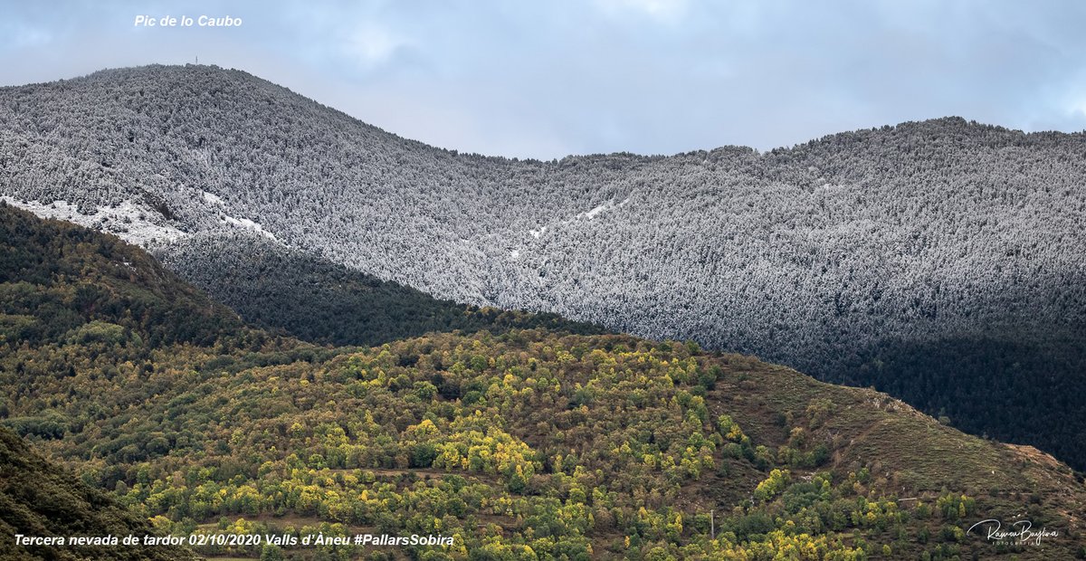meteopallars's tweet photo. Contrast de tardor al #PallarsSobira meravella pels sentits. Amplieu la fotografia https://t.co/yHnI0XKfZ4