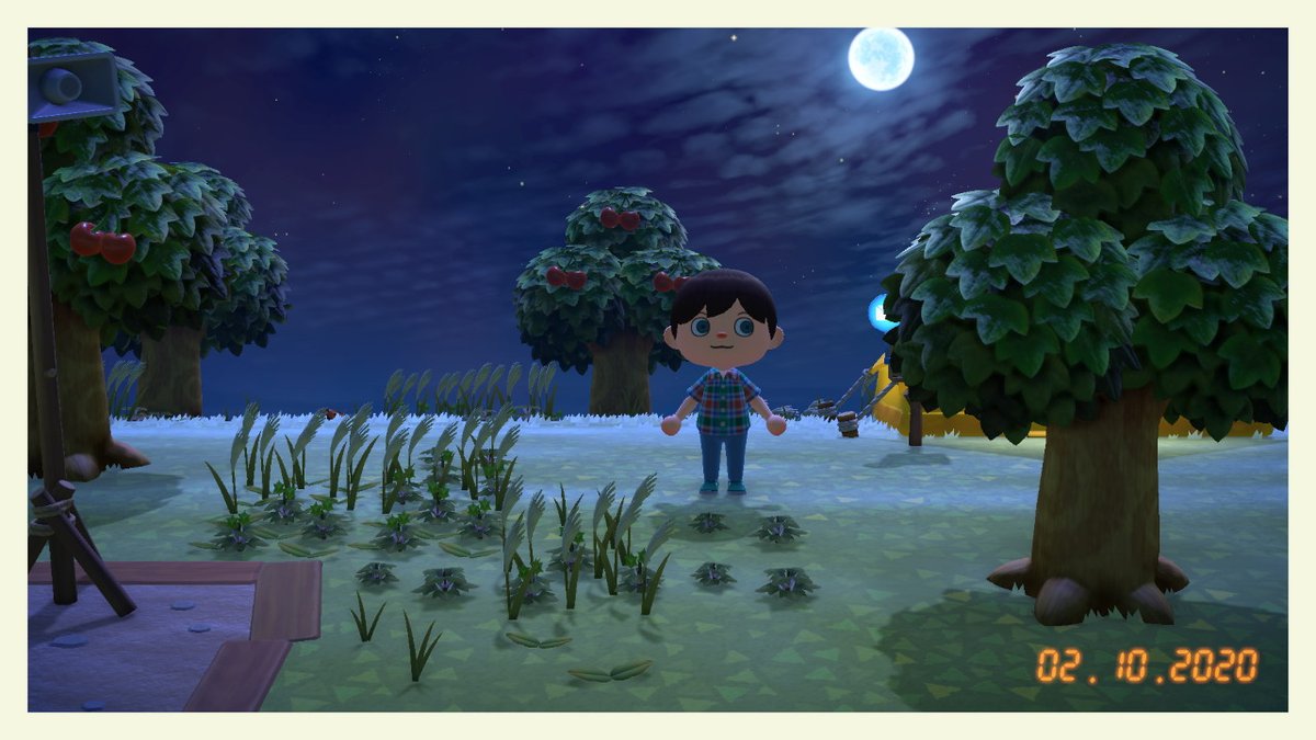 Mikel0ud's tweet photo. #AnimalCrossing #ACNH #NintendoSwitch https://t.co/Owtma4hphi