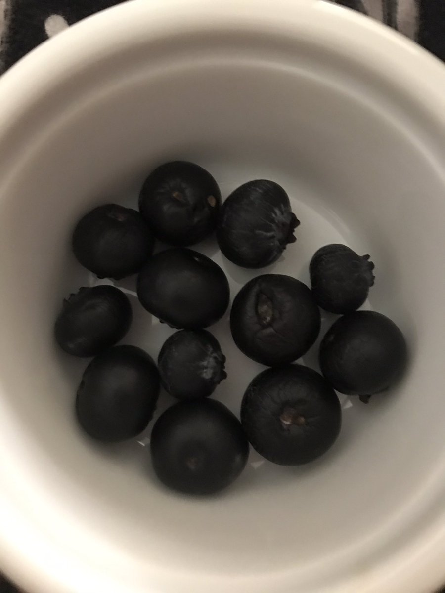 GlobalChar's tweet photo. #BlueberryBoost
Blueberries are sweet &amp; healthy for you 💕 https://t.co/IyH08qphJc