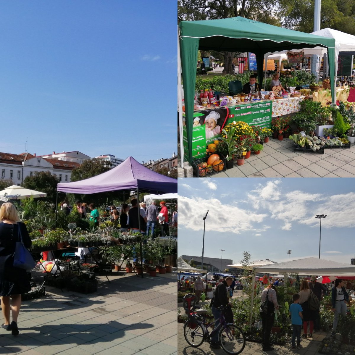 Sutra nas posetite na Novosadskoj cvetnoj pijaci :-)
Tu je i stand za Lanu Jovanovic!

Vidimo se 🌵🌞🌻💚🌳💛🏵️🐝🍪