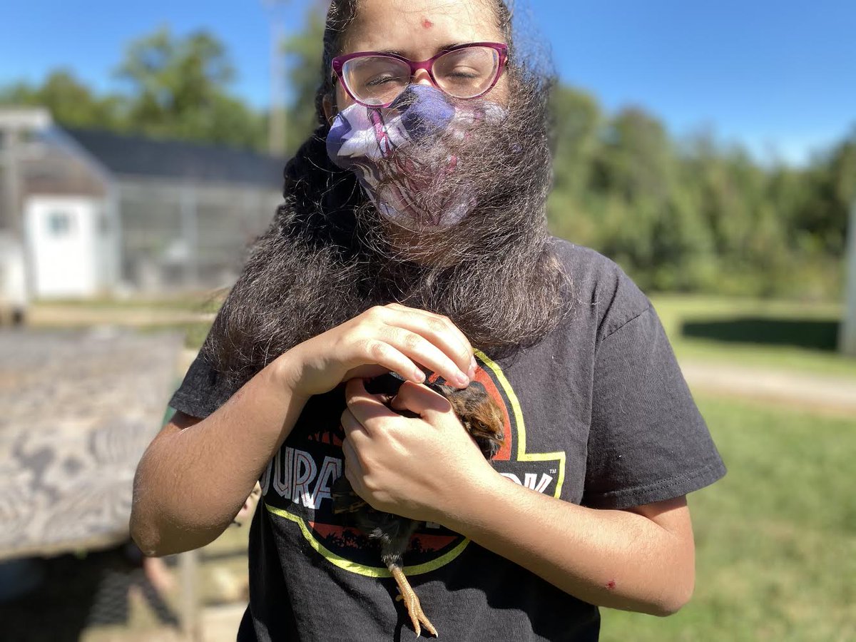 anderson2PR's tweet photo. BMS Agriculture students enjoying class outside with the animals.
#bms #bmsagriculture #asd2 #A2 https://t.co/Qf3LbtUNif