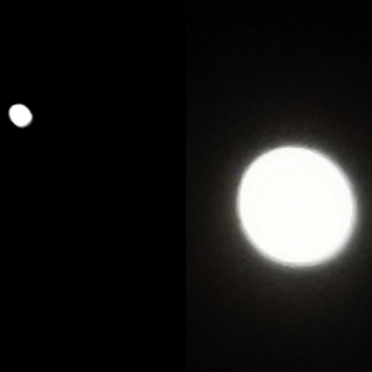 AdamantinaCecia's tweet photo. La #luna e l'asteroide #2016HO3 fotografati dal balcone di casa https://t.co/jNKFwh0Y0a