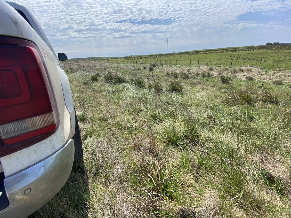 Sebastian Da Silva tweet media