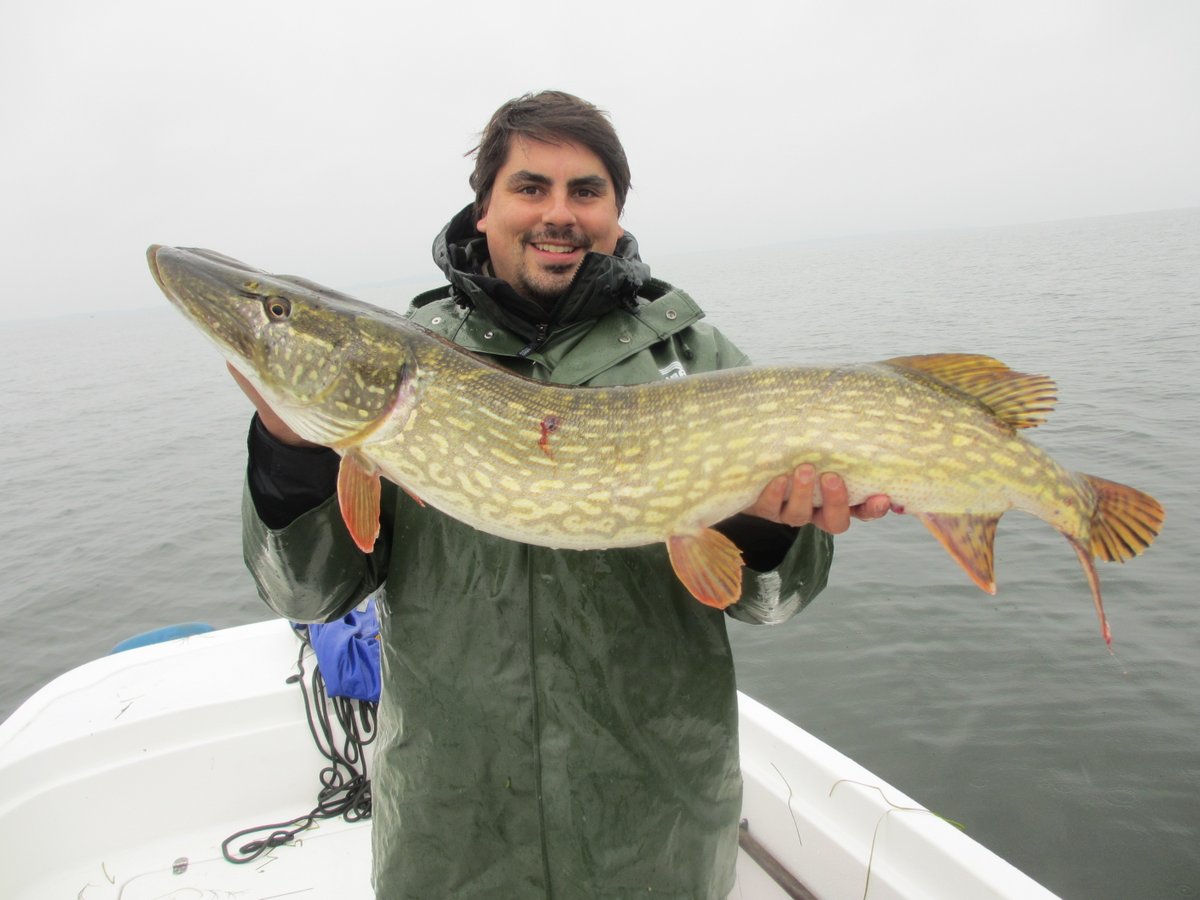 Robert Arlinghaus (moved to Blue Sky) tweet media