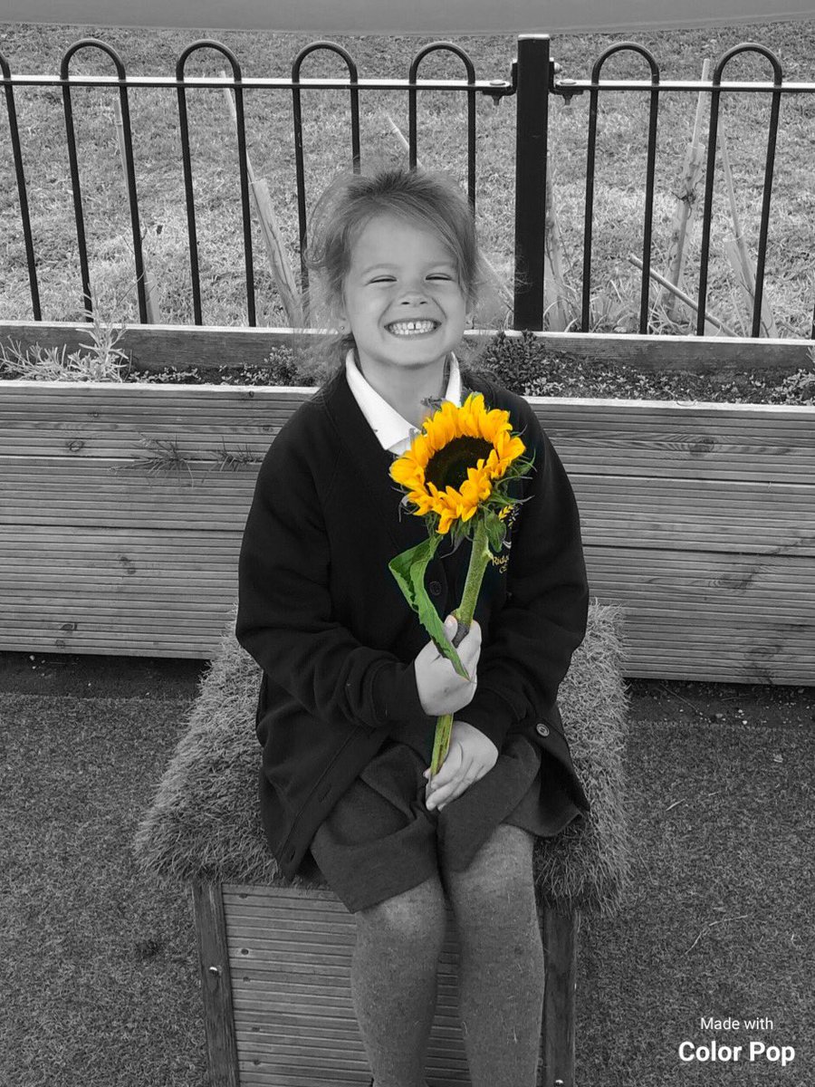 RidgewayFarmCEA tweet media