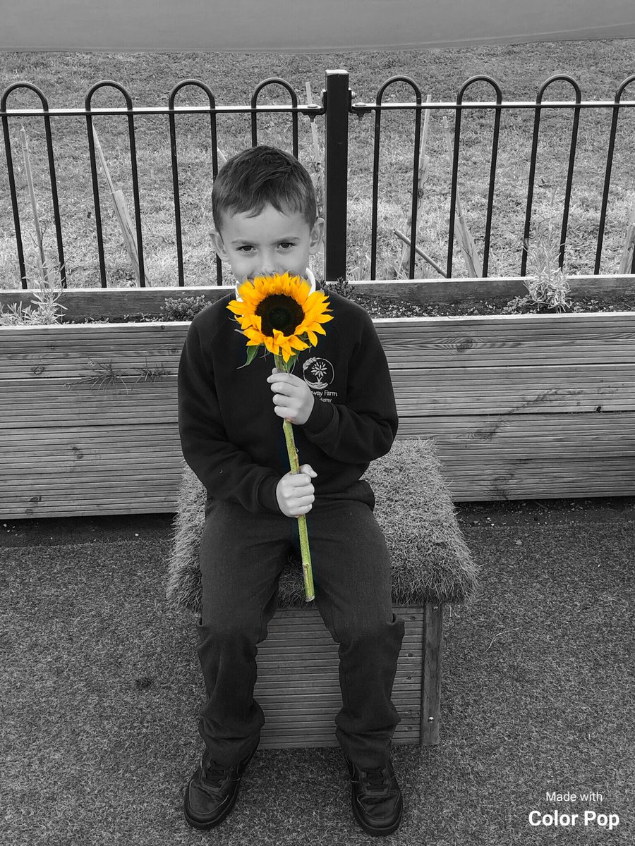RidgewayFarmCEA tweet media