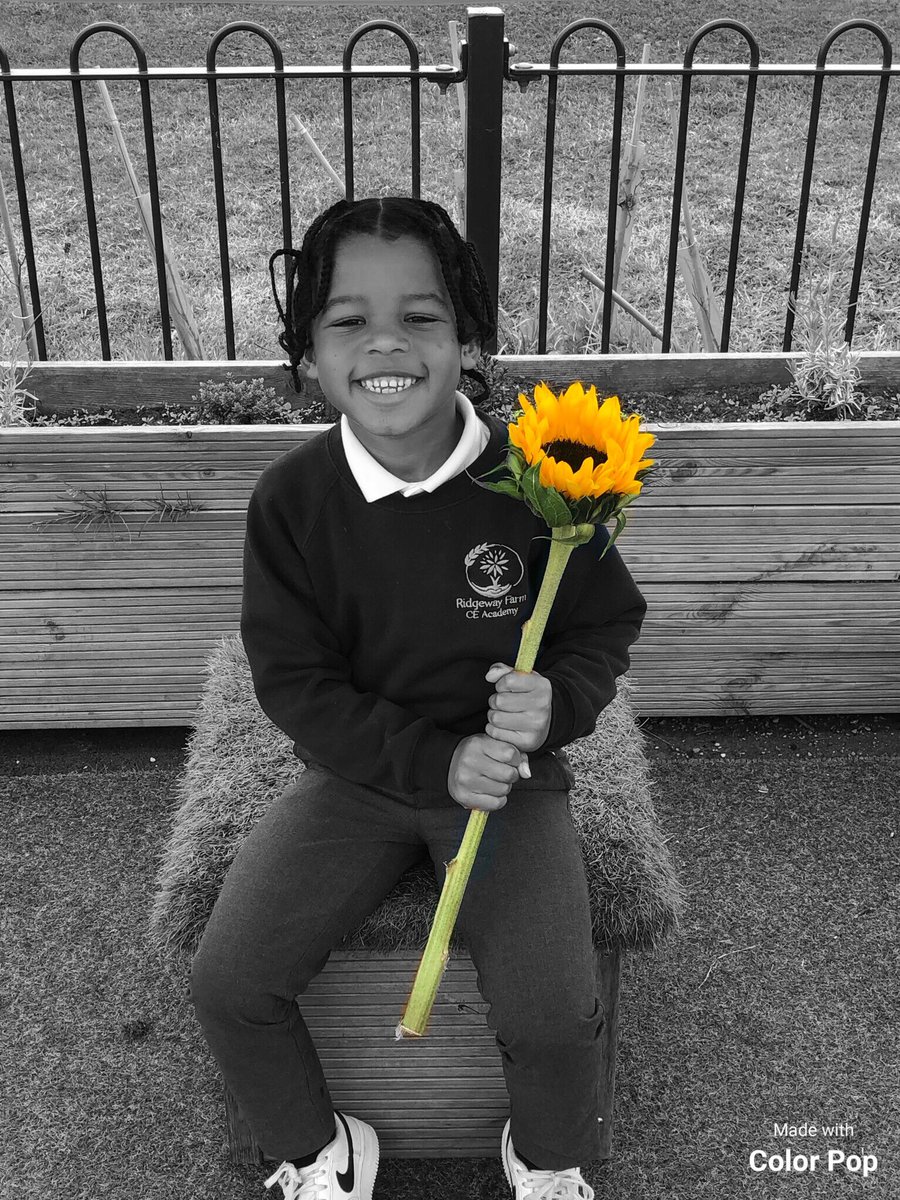 RidgewayFarmCEA tweet media