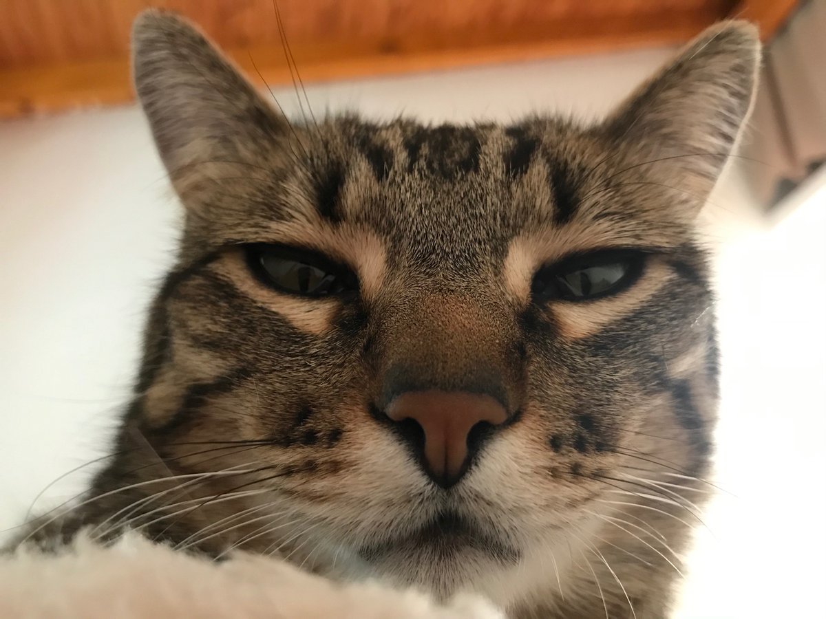 kari Gimenez tweet media