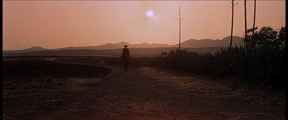 RightCoastProJJ's tweet image. And so ends what turned out to be an exciting and profitable day. Unfortunate it came at the expense of a leader getting sick, but business is busines. Thank you @renegadestyle for you assistance.