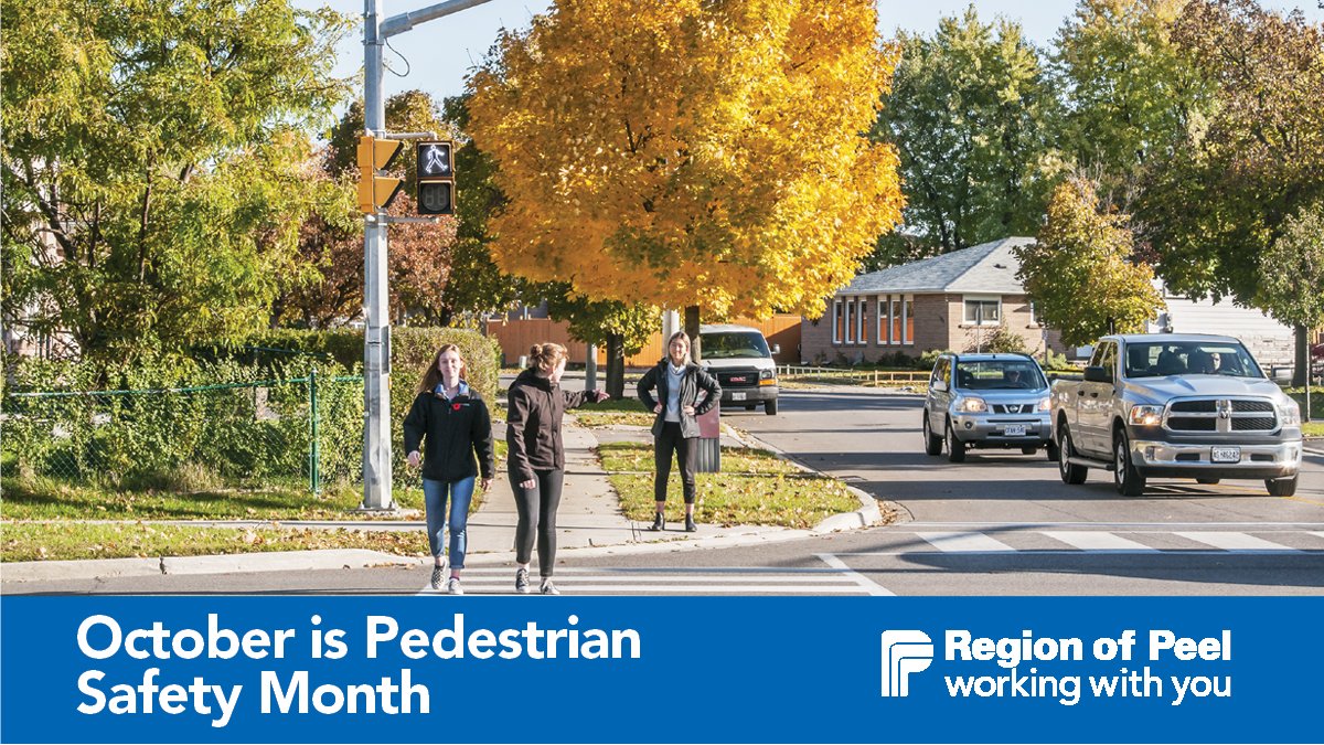 regionofpeel's tweet photo. October is #PedestrianSafetyMonth. With our partners, Peel Region is working with you to reduce injury &amp; death caused by collisions as part of our Vision Zero plan. We’ll share tips to help keep you safe when out driving &amp; walking. https://t.co/oZZQ5wtied   #VisionZeroPeel https://t.co/xjyTw4nWgV