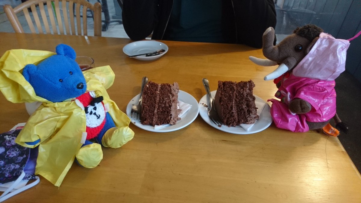 RedditchMammoth's tweet photo. Our venture in the storm earlier resulted not on in cheese, but also finally (!!) finding some @AlesofScilly beer and finding cake. Now to wait and see if we can fly out tomorrow π¬ #Scillybears #Scilly #StormAlex #cake #cayk #cheese π§#smallbearsneedbeer π» https://t.co/45urG5X9Ny