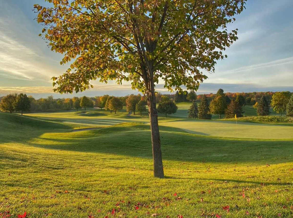 foreUP's tweet image. &quot;Some courses you play, others you remember...&quot; It&apos;s easy to see why we have a crush  on @WildMarshGolf  This course is a must-play, but you need to hurry before the season ends. 😍🍁

#foreUPclient #foreUPfam #toppublicgolfcourses #mandatorygolffriday #golftwincities