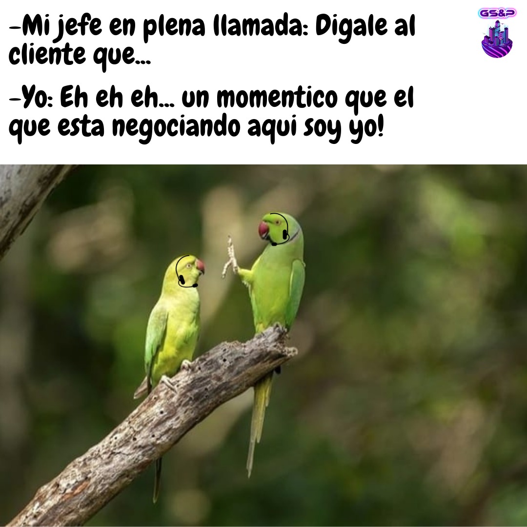 gservicesandp's tweet photo. Día para reír y disfrutar de este fin de semana 🥳🔝📞.
.
.
#GoodVibes #Viernes #Smile #MemesCallCenter #Funny #GlobalServicesAndProperties https://t.co/AtlUE9lMpc