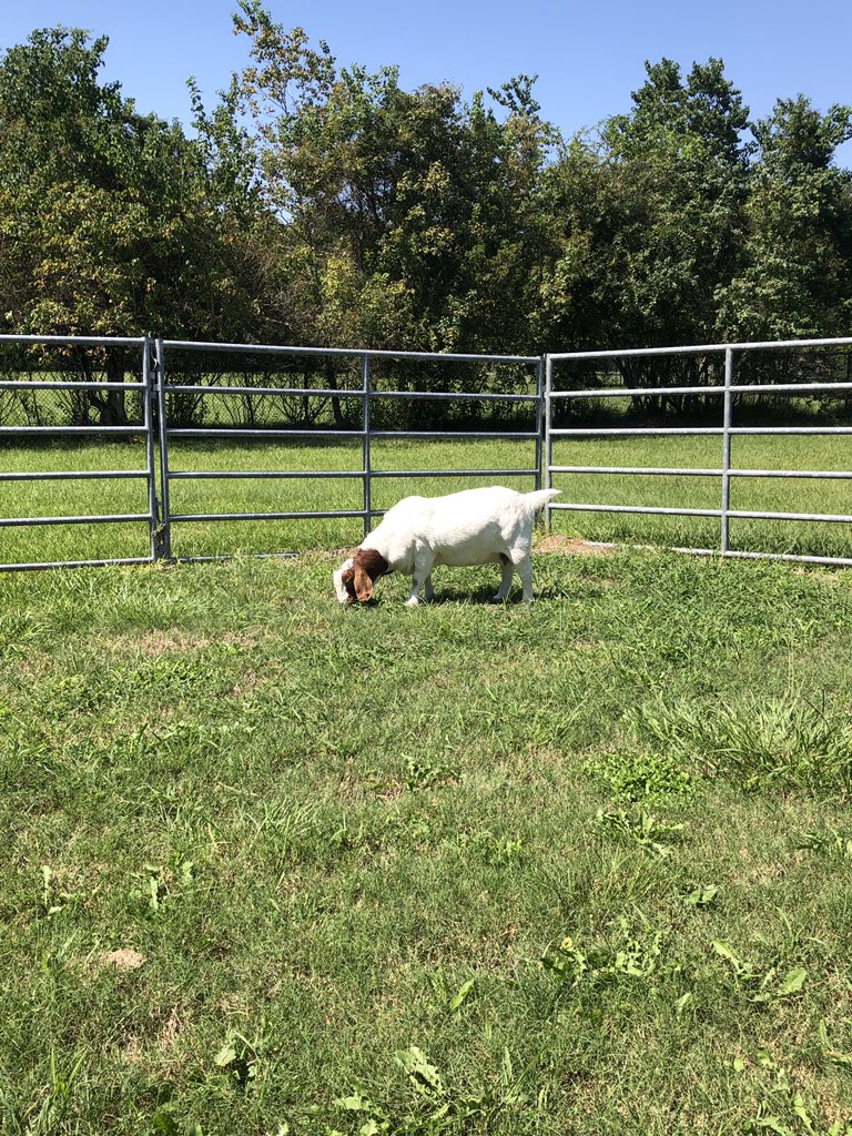 Jennifer Gonzalez tweet media