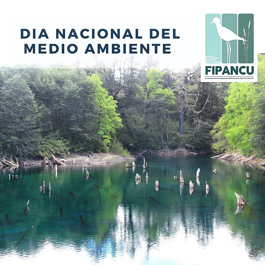 Feliz #DíaNacionaldelMedioAmbiente 🇨🇱

Que sea más que un solo día! Debemos conocer, valorar y conservar nuestro territorio, el medio ambiente es parte de nuestro desarrollo y necesitamos de un territorio sano para nuestra vida! 

<a href="/MMAChile/">Ministerio del Medio Ambiente</a> <a href="/ladera_sur/">Ladera Sur 🌎</a> <a href="/IEBChile/">Instituto de Ecología y Biodiversidad - IEB</a> <a href="/unep_espanol/">Programa ONU Medio Ambiente</a>